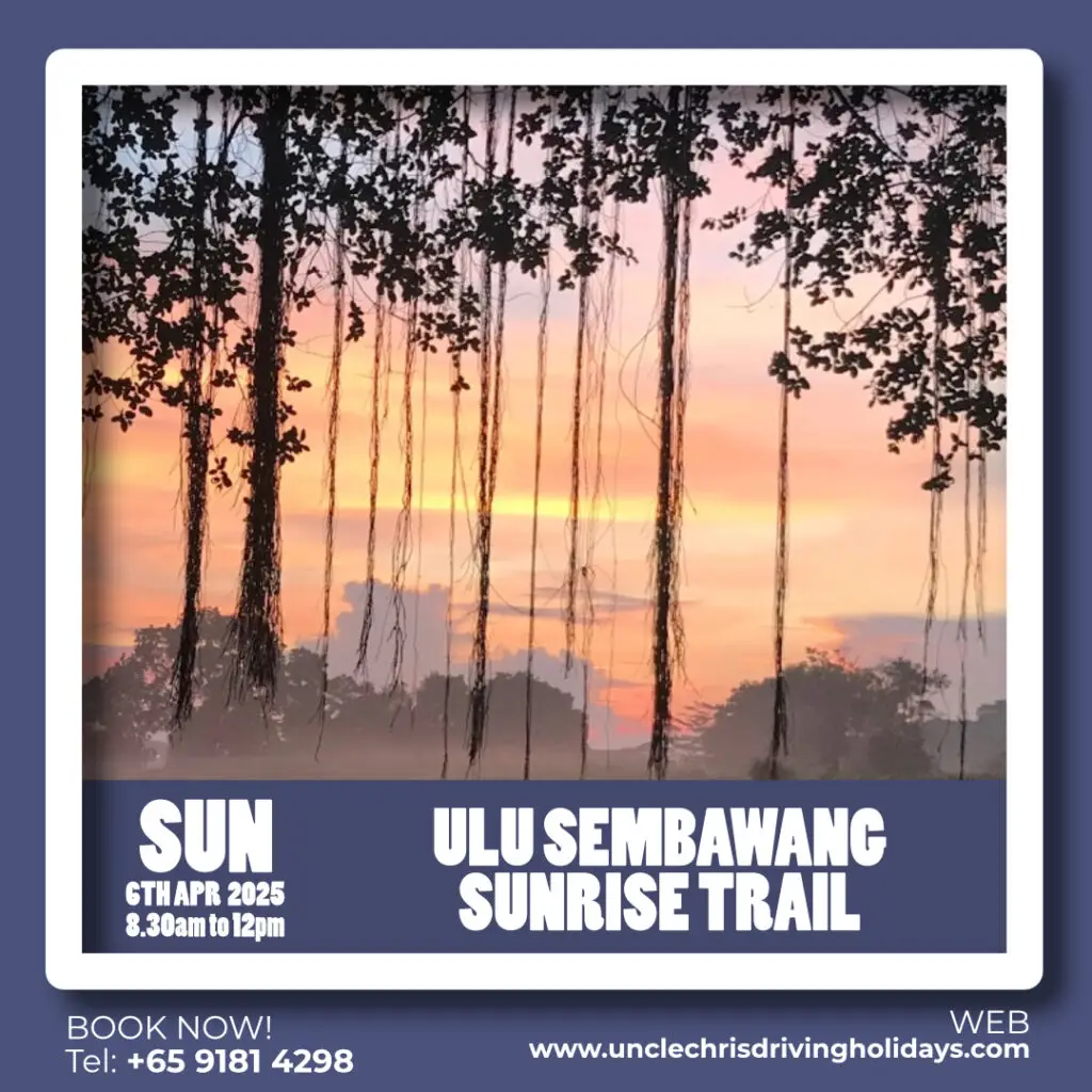 ULU SEMBAWANG SUNRISE TRAIL Sun, 6th Apr 2025 8.30am to 12pm