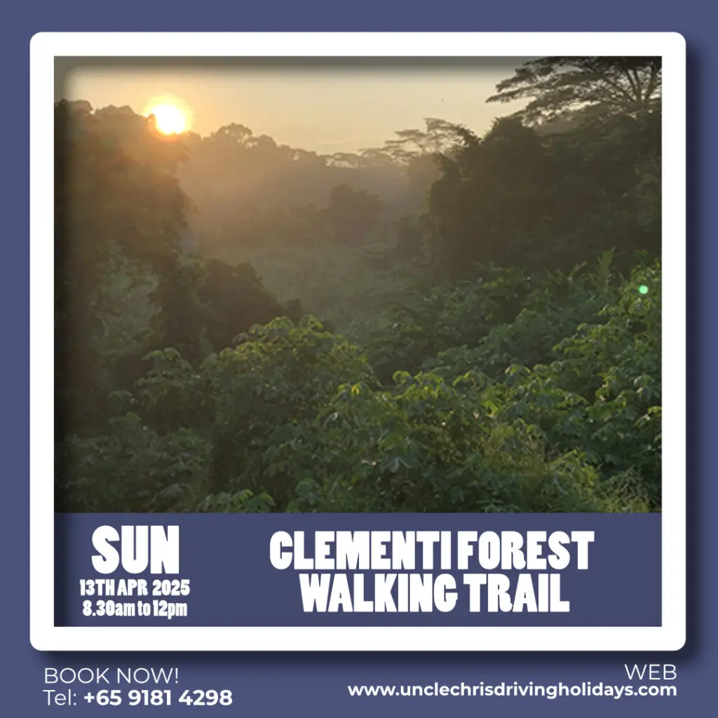 CLEMENTI FOREST WALKING TRAIL Sun, 13th April 2025 8.30am to 12pm