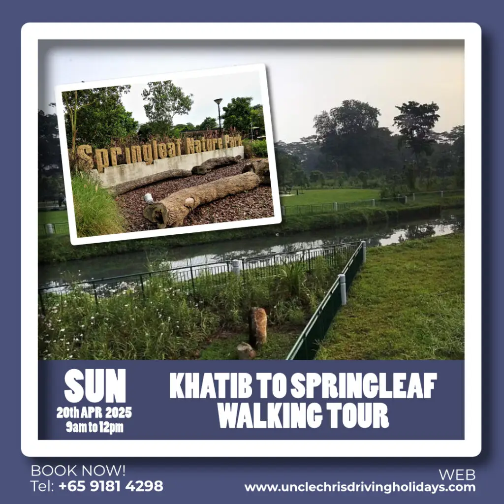 KHATIB TO SPRINGLEAF WALKING TOUR Sun, 20th April 2025 9am to 12pm